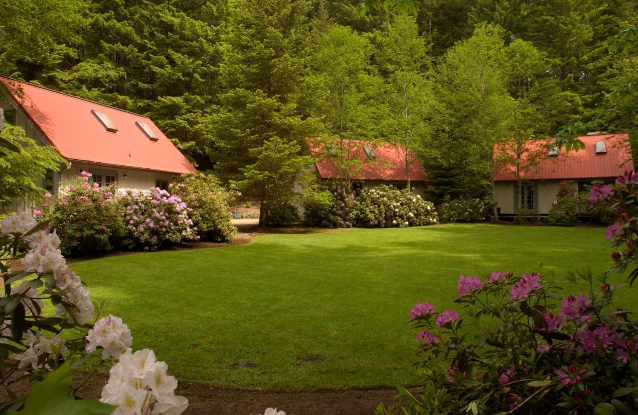 Steamboat Inn Idleyld Park Экстерьер фото